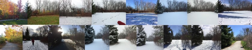 A little collage I made to show the way the seasons passed along the ravine near our place in Canada